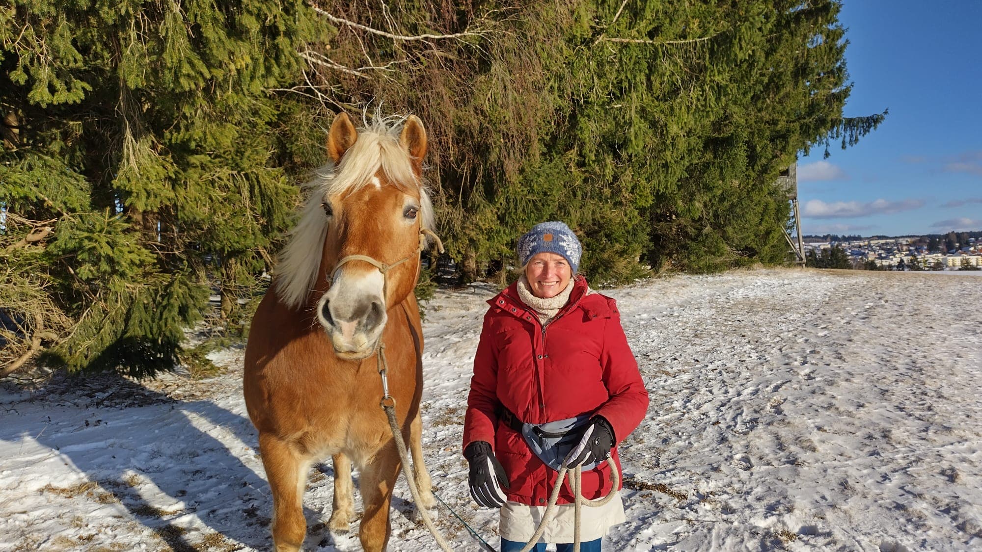 Judith mit Haflinger im winterlichen Mühlviertel
